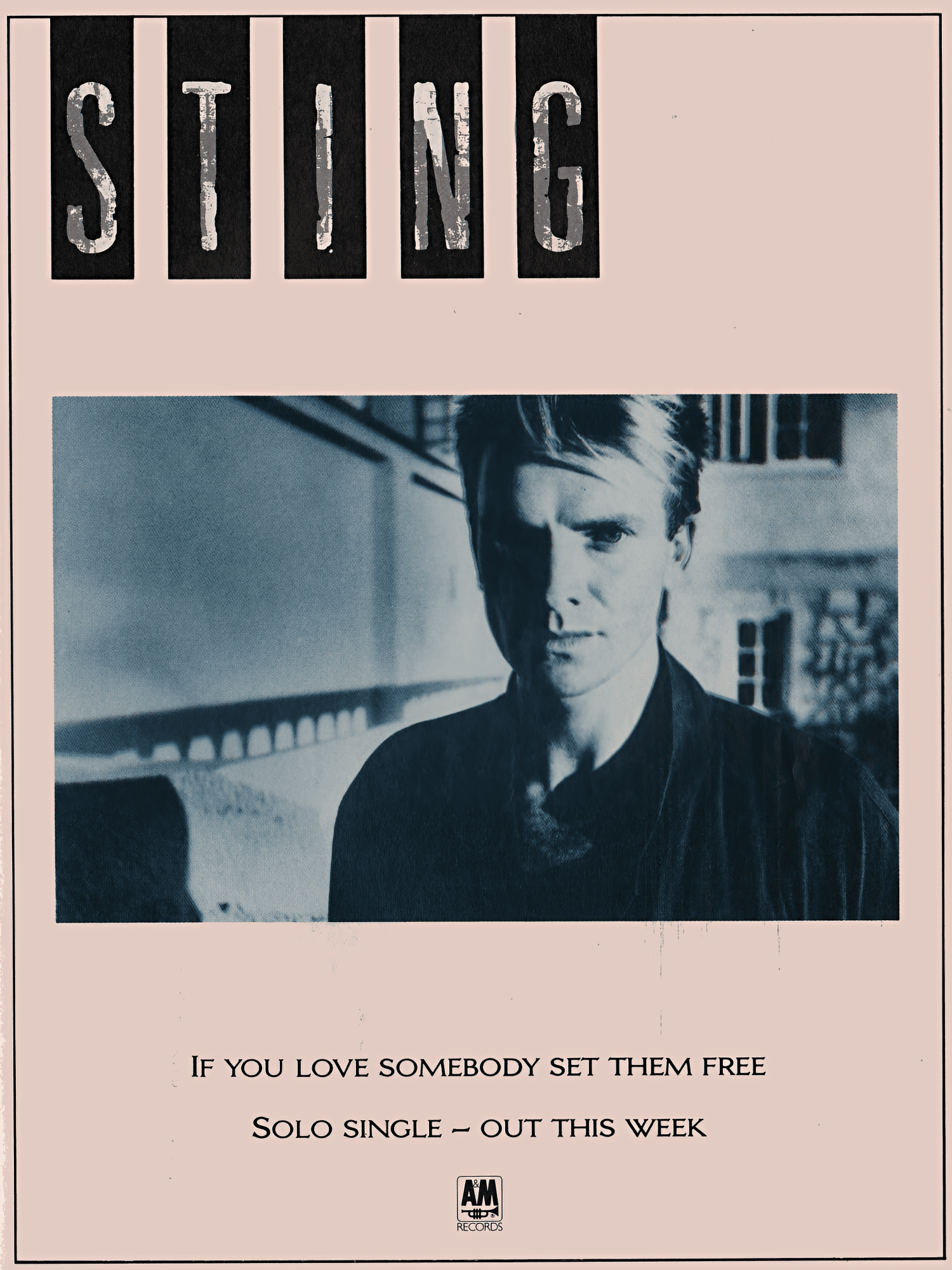 If You Love Somebody Set Them Free Promo Advert