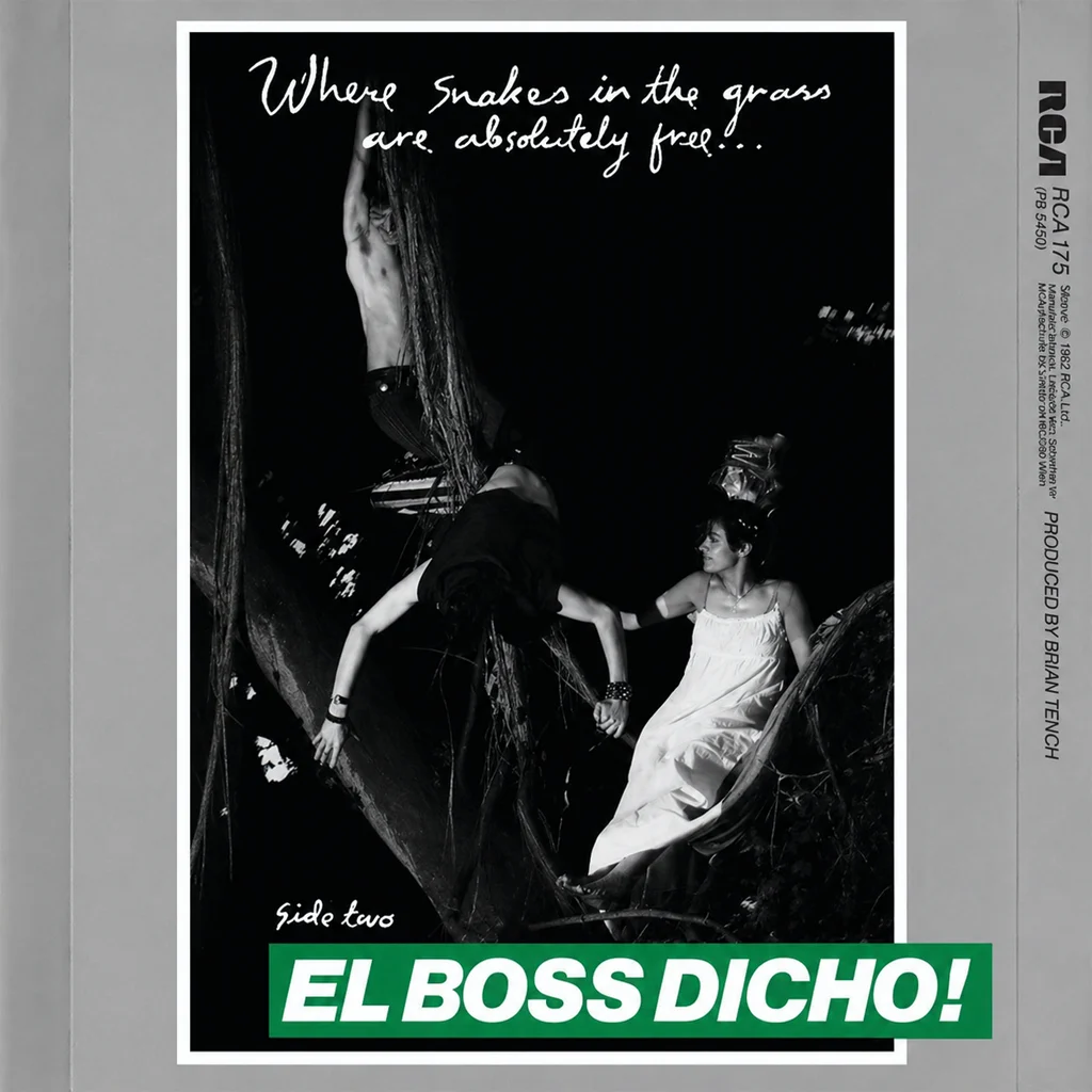 Bow Wow Wow - Go Wild In The Country - Uk 7'' Cover - Back