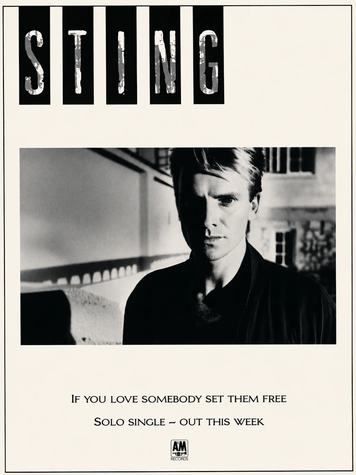 Sting - If You Love Somebody Set Them Free - Promo Advert