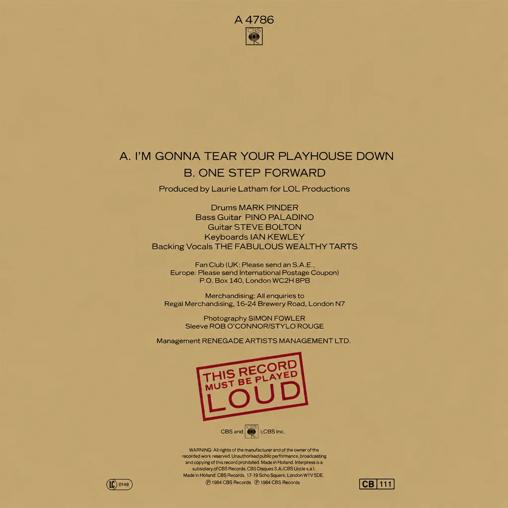 PaulYoungI'mGonnaTearYourPlayhouseDownUK7''CoverBack