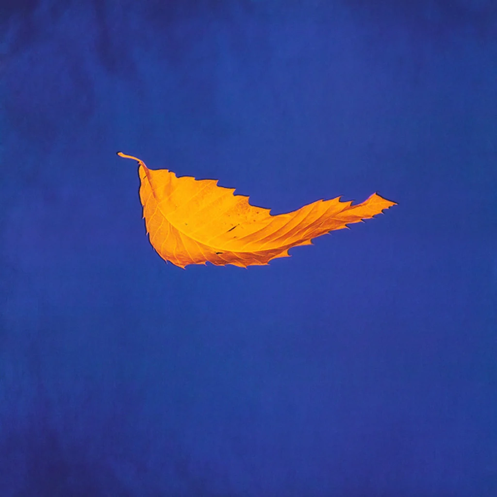 New Order – True Faith New Order - True Faith - UK 7'' Cover - Front